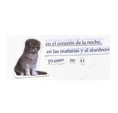 a cat sitting on top of a piece of paper with the words written in spanish