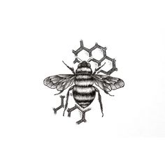 a black and white drawing of a bee