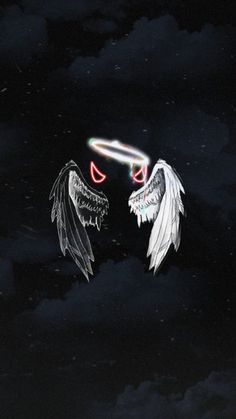 two white wings are flying in the dark