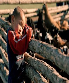 a young boy leaning on a fence made out of wood logs and looking at the camera