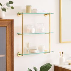 a bathroom shelf with two shelves on the wall and some plants in vases next to it