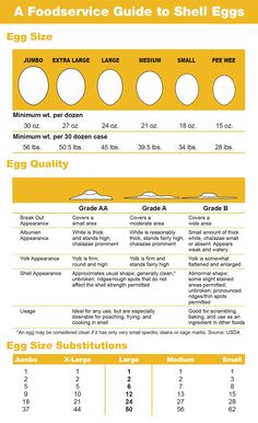 an egg size guide to shell eggs is shown in this graphic diagram, which shows the number