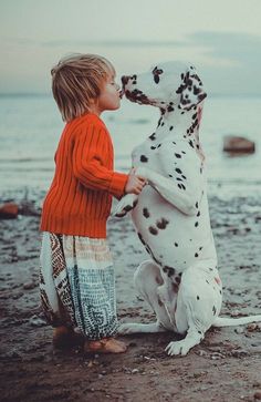 a boy and his dalmatian dog on the beach playing with eachother