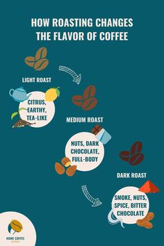 Infographic: The different flavor profiles of light, medium, and dark roast coffee beans Different Coffee, Bitter Chocolate, Roasted Nuts, Roasts