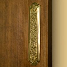 an ornate brass door handle on a wooden door