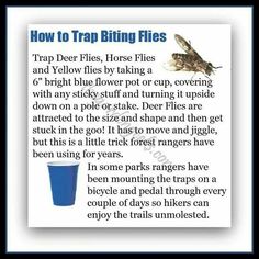 a poster with words describing how to trap biting flies