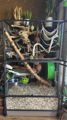 a cage filled with lots of different types of plants and other things inside of it