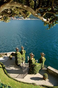 an iron gate is surrounded by plants on the edge of a body of water with a tree overhanging it