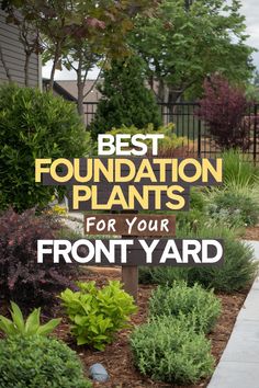 Discover the ultimate guide to easy landscaping front yard ideas with this list of stunning foundation plants! 🏡 From evergreen shrubs to flowering beauties, create the perfect front yard garden design with options for every style. 🌿 Perfect for landscaping around the house or small front yard landscaping, these ideas will elevate your lawn and landscape. Click the link for DIY backyard landscaping inspiration! ✨ Evergreen Garden Design Front Yards, Front Foundation Planting Design, Low Maintenance Front Yard Landscaping Ideas, Front House Garden, Landscaping Around The House, Landscape Design Front Of House, Rustic Front Yard Landscaping, Yard Garden Design