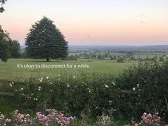 a field with flowers and trees in the background that says it's okay to disconce for a while