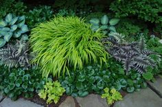 a garden with lots of green plants and rocks