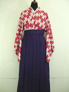 kimono and andon bakama (Woman's undivided hakama) Princess Dresses, Tucson Arizona, Red Hot, My Collection, Tucson, Blue Sea, Princess Dress, Japanese Art