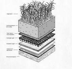 an illustration shows the structure of a planter with plants growing in it and labeled parts labelled below