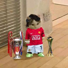 a teddy bear dressed as a soccer player next to trophies