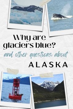 an advertisement for glaciers blue and other questions about alaska