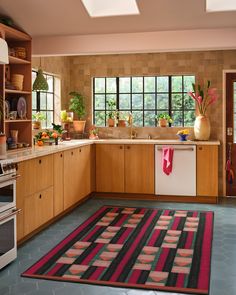 a kitchen with an area rug in front of the stove and sink, along with potted plants