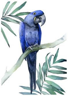 a watercolor painting of a blue parrot perched on a branch with leaves around it