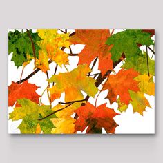 an abstract painting of autumn leaves on a white background with green, orange and yellow colors