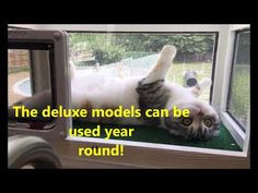 a cat laying on top of a window sill with the caption, the deluxe models can be used year round