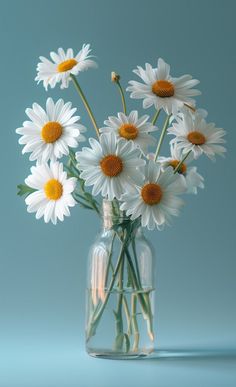 a glass vase filled with white daisies on top of a table