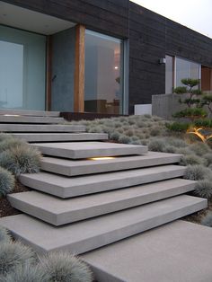 concrete steps in front of a modern house