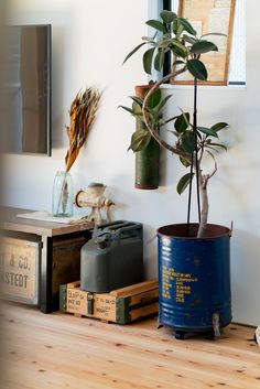 a potted plant sitting on top of a wooden table next to boxes and other items