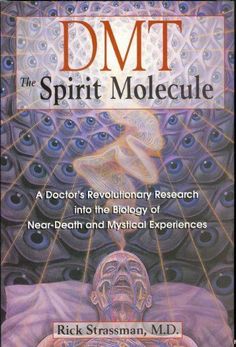 the book cover for dmtt the spirit moleculae