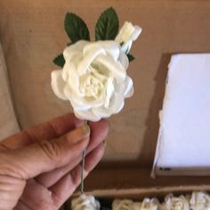 a person holding a white rose in their hand