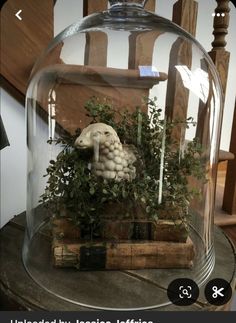 there is a fake sheep under a glass dome on top of a table with plants in it