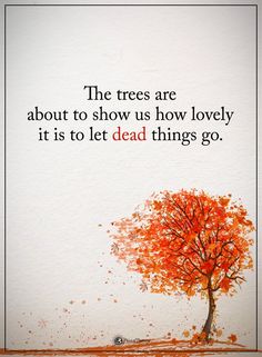 Leaf Quotes, Free Fall Printables, Wise Thoughts, Buddhist Practices, Daily Calendar, Autumn Quotes, Rumi Quotes