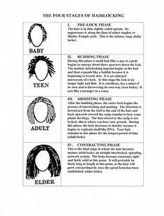 Loc Care, Locs Journey, Sister Locks, Sisterlocks Styles, Sister Locs, Loc Inspiration, Hair Locs, Short Locs Hairstyles, Loc Hairstyles