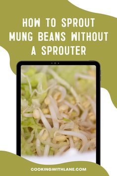 a tablet with the text how to sprout mung beans without a sprouter