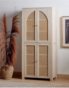 a tall wooden cabinet sitting next to a potted grass plant in a living room