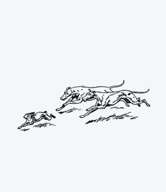 two dogs running in the grass with one dog chasing behind them on a white background