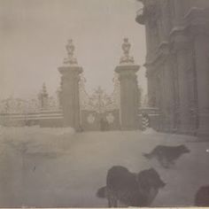 an old black and white photo of a dog in the snow with statues behind it