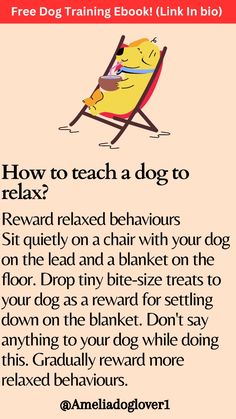 a dog sitting in a lawn chair with the text how to teach a dog to relax?