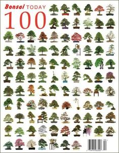 the front cover of bonsai today's book, with trees in different colors