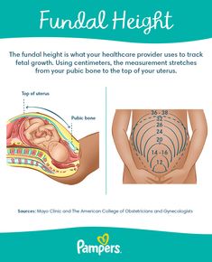 an info sheet describing how to use the breast for breasting and rejuicing