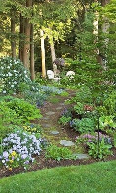 a garden with lots of flowers and trees