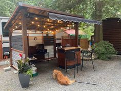 a brown dog sitting under a covered outdoor kitchen