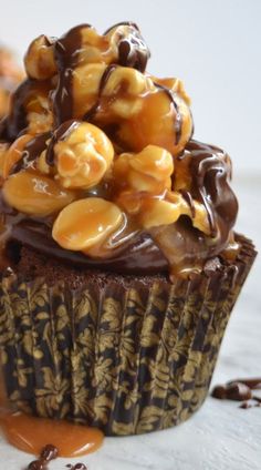 a cupcake with chocolate and caramel toppings