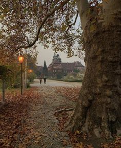 two people walking down a leaf covered sidewalk next to a tree and lampposts