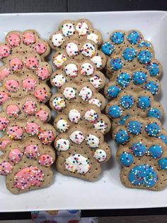 there are many dog paw cookies on the white platter with blue, pink, and white sprinkles