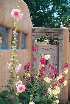 colorful flowers are growing in front of an adobe building