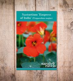 the front cover of a book with an image of red flowers on it and green leaves