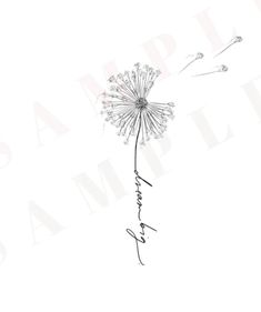 a dandelion drawing with the word love written in cursive writing on it