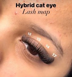 Hybrid Cateye Lash Extensions Map, Mega Hybrid Lash Extensions, Lash Mapping Clusters Cat Eye, Hybrid Cluster Lash Map, Hybrid Lashes Mapping, Hybrid Lashes Cat Eye, Hybrid Lash Mapping, Hybrid Lash Extensions Cat Eye, Hybrid Lash Extensions Map