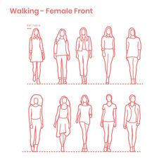 a line drawing of women's clothing from the front to the back, with text that reads walking - female front