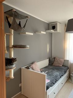 a cat is sitting on top of a bed in a room with grey walls and white furniture