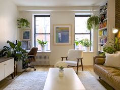 a living room filled with furniture and lots of plants on the windows sills